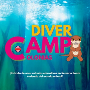 Colonias DiverCamp Acuario de Zaragoza